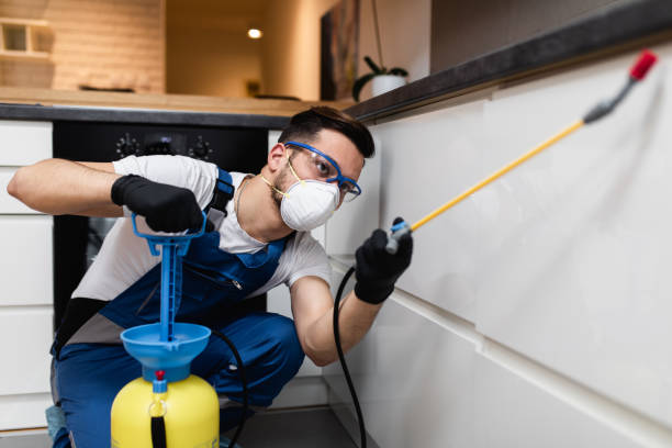 Best Pest Removal Services  in Cockeysville, MD
