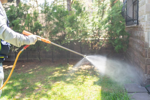 Best Flea Control Services  in Cockeysville, MD