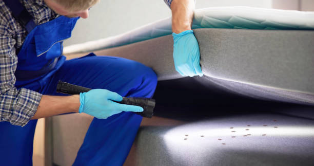 Best Termite Control Services  in Cockeysville, MD