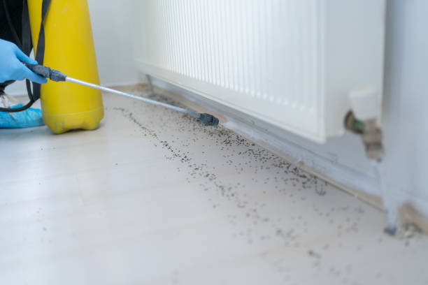 Best Commercial Pest Control Services  in Cockeysville, MD