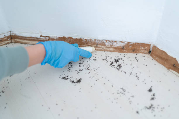 Best Exterminator Services  in Cockeysville, MD
