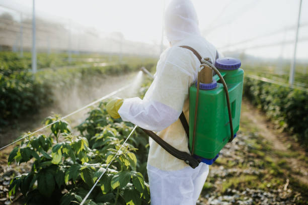 Pest Control Cost in Cockeysville, MD